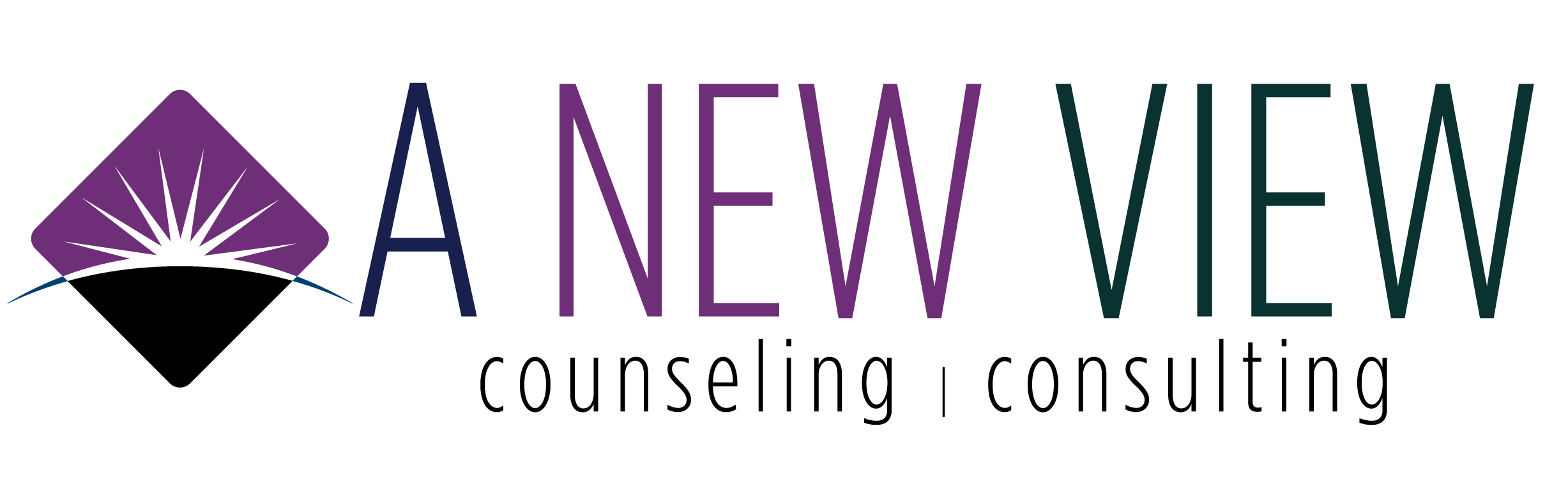 A New View Counseling and Consulting